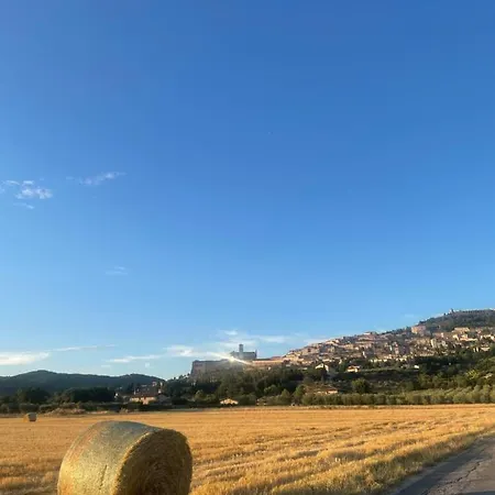 La Casa Dell'artista *