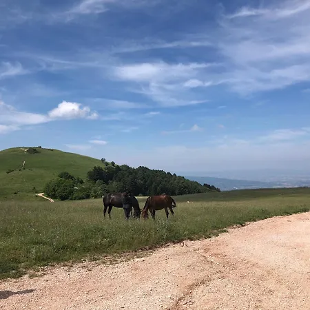La Casa Dell'artista *