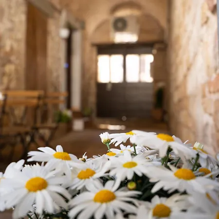 شقة La Casa Dell'artista أسيسي
