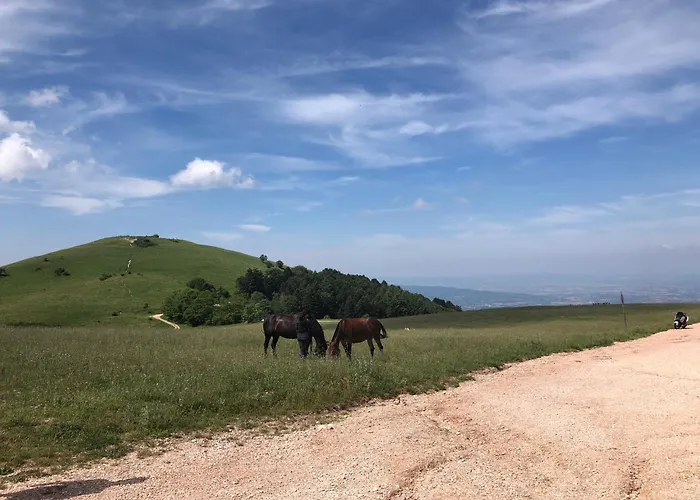 La Casa Dell'artista *